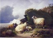 unknow artist Sheep 157 oil painting picture wholesale